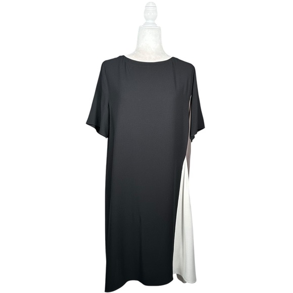 EILEEN FISHER Silk Georgette Crepe Color Block Shift Dress - Picture 7 of 13